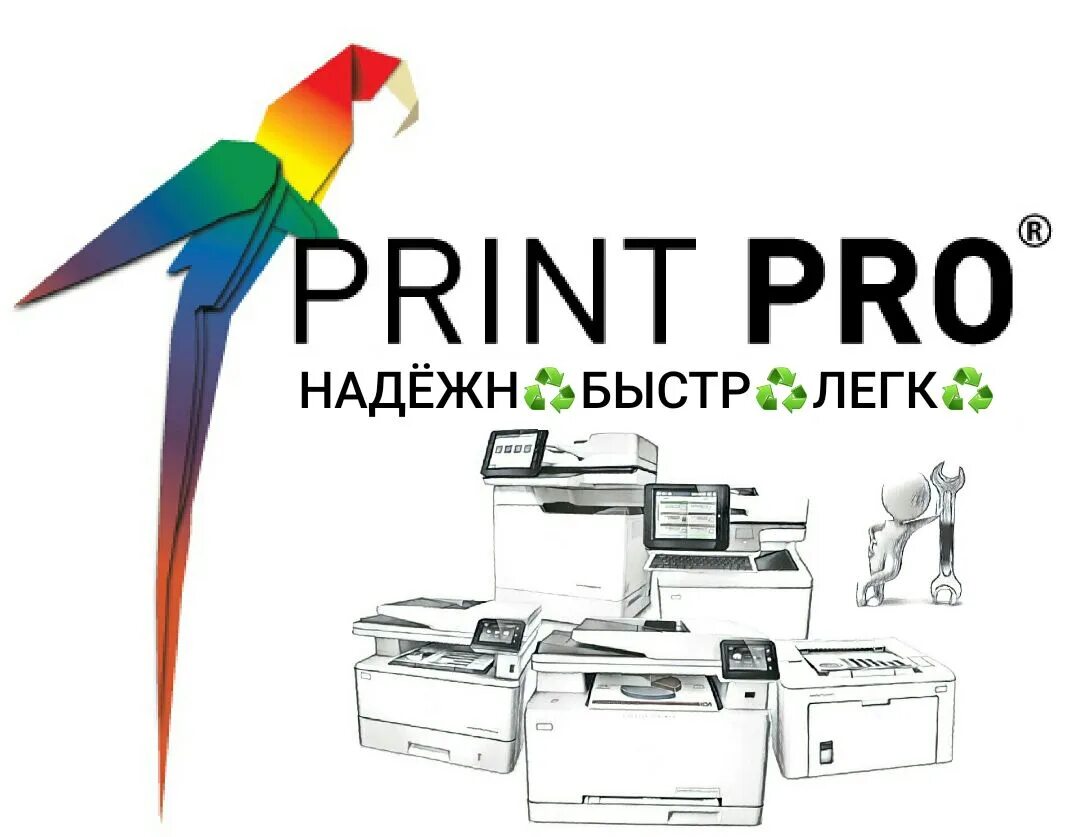 Пропринт. Про-принт Москва. Pro Print. Pro Print картриджи. Опт.