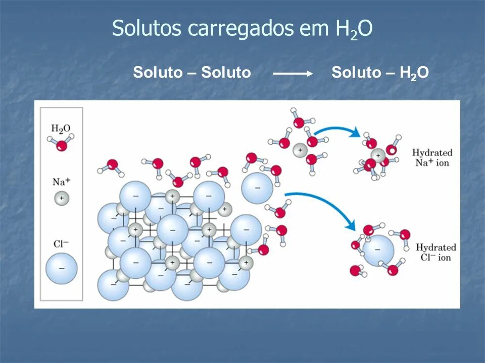 Растворение соли в воде реакция. Гидратная оболочка белков. Гидратная оболочка воды. Гидратная оболочка ионов. Гидратационная вода.