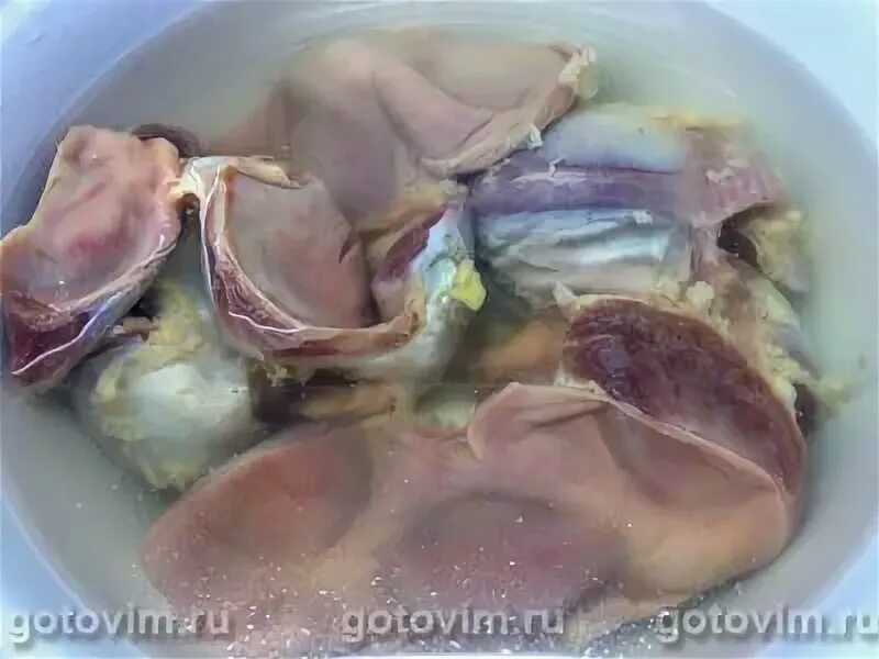 Гусиные потрошки. Гусиные желудки рецепт.