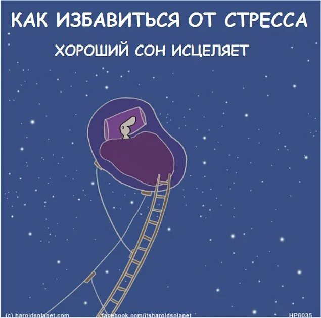 Как спастись ответ