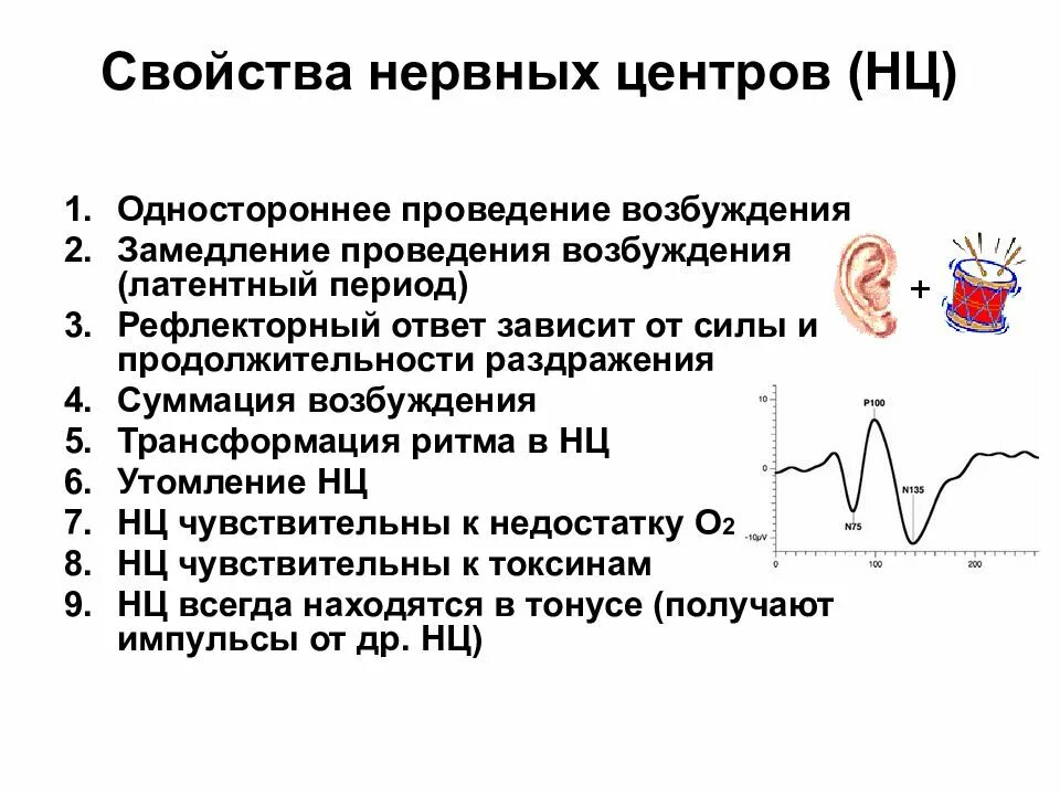 Синдром повышенной нервной возбудимости. Одностороннее проведение возбуждения в нервных центрах. Односторонность проведения возбуждения. Трансформация ритма возбуждения в нервных центрах. Одностороннее проведение возбуждения пример.