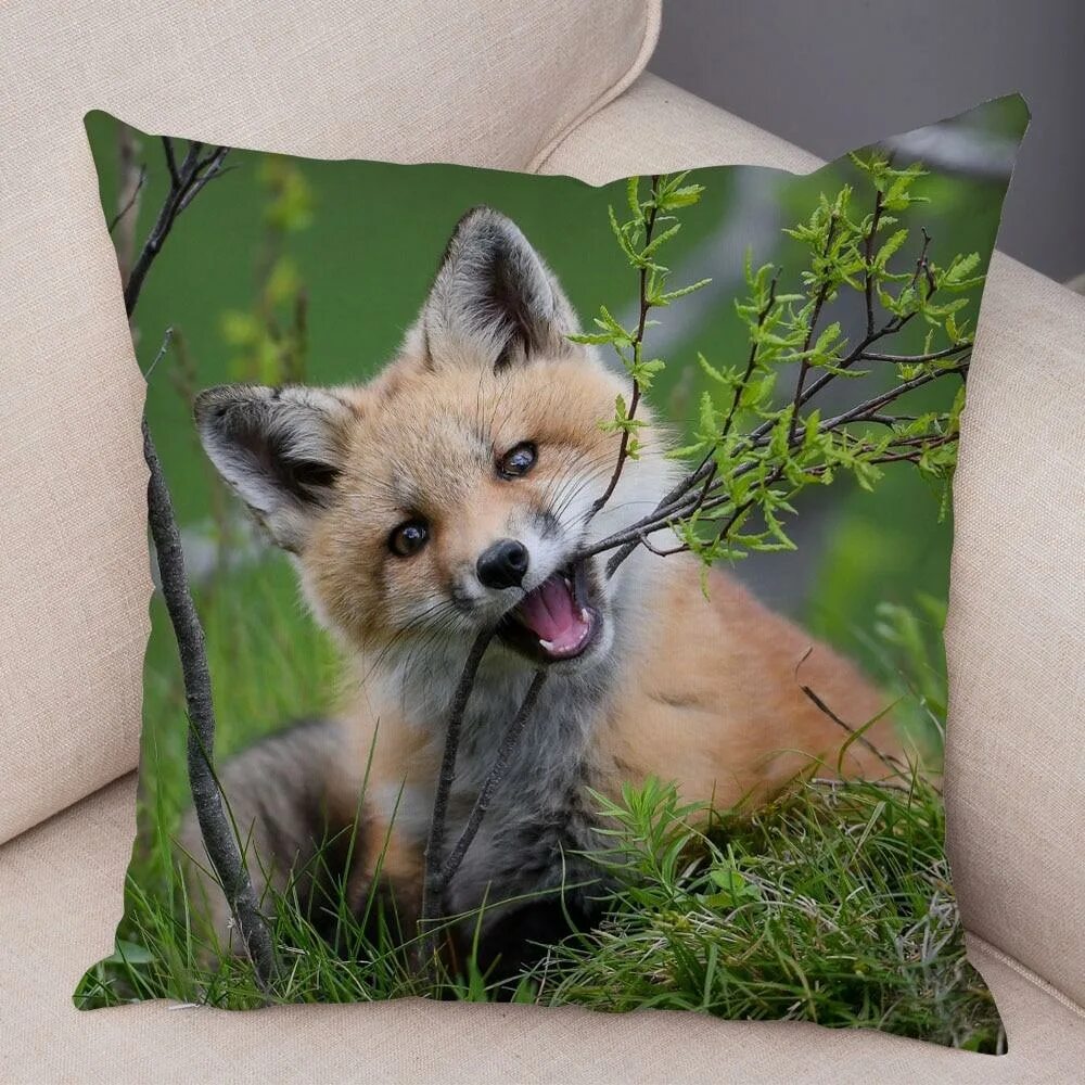 everythingfox: " Extra Fluff Photo by Shimapan " Cute animals, Animals wild, Pet