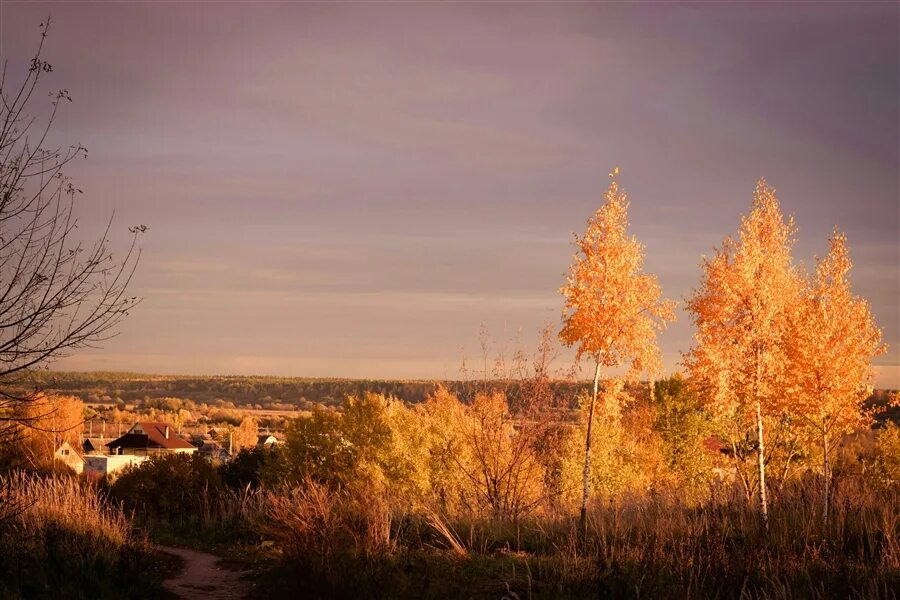 Просто осенний вечер. Осенний вечер. Лучезарный вечер осени. Осень вечер. Осенний вечер ф и т..