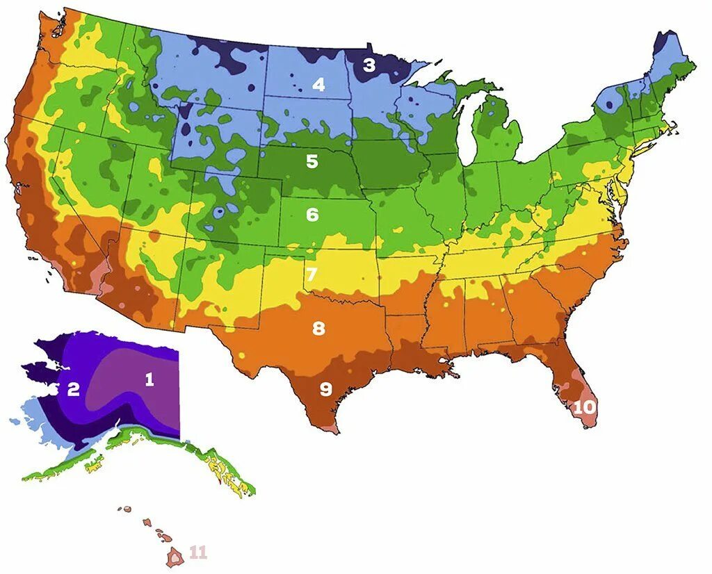 Зоне 5 b. USDA зоны зимостойкости. Зона USDA 4. Карта зон морозостойкости USDA. Зона морозостойкости USDA 4.