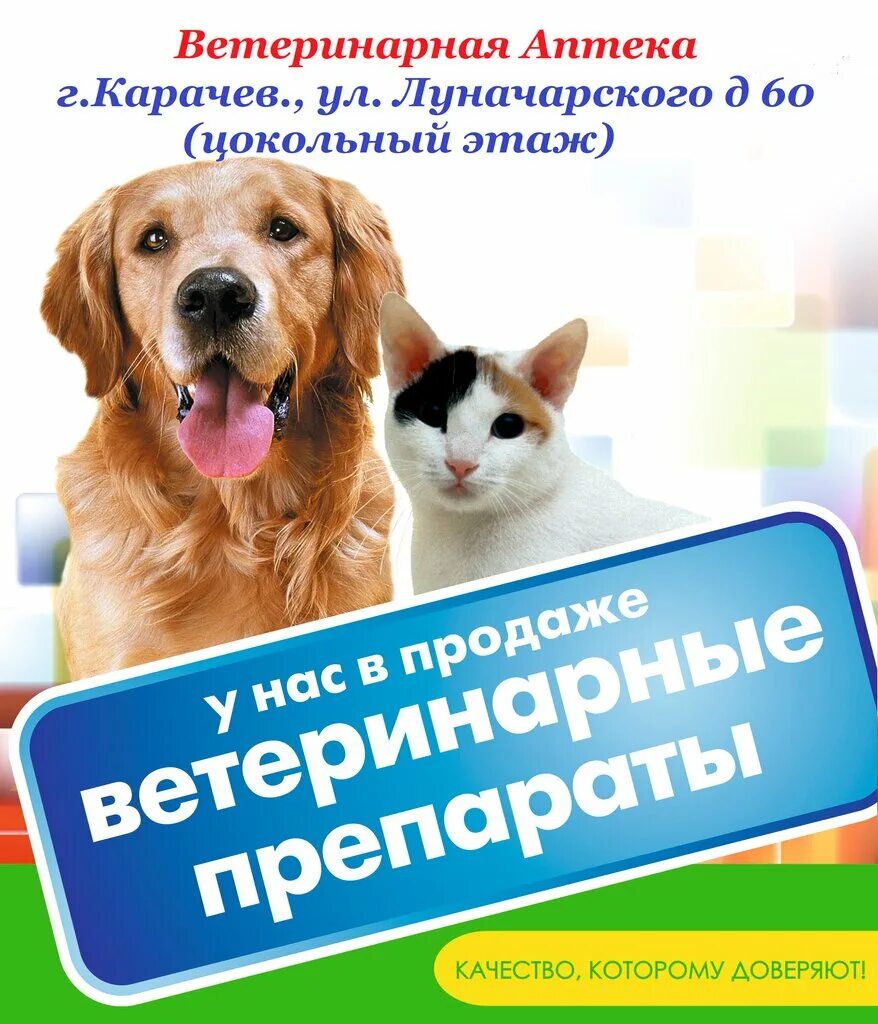 Аптека для животных. Баннер для ветаптеки. Ветаптека реклама. Ветеринарная клиника аптека.