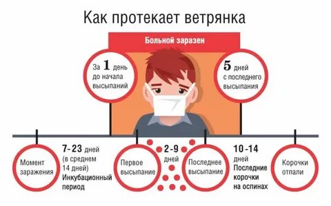 Сколько дней должно болеть