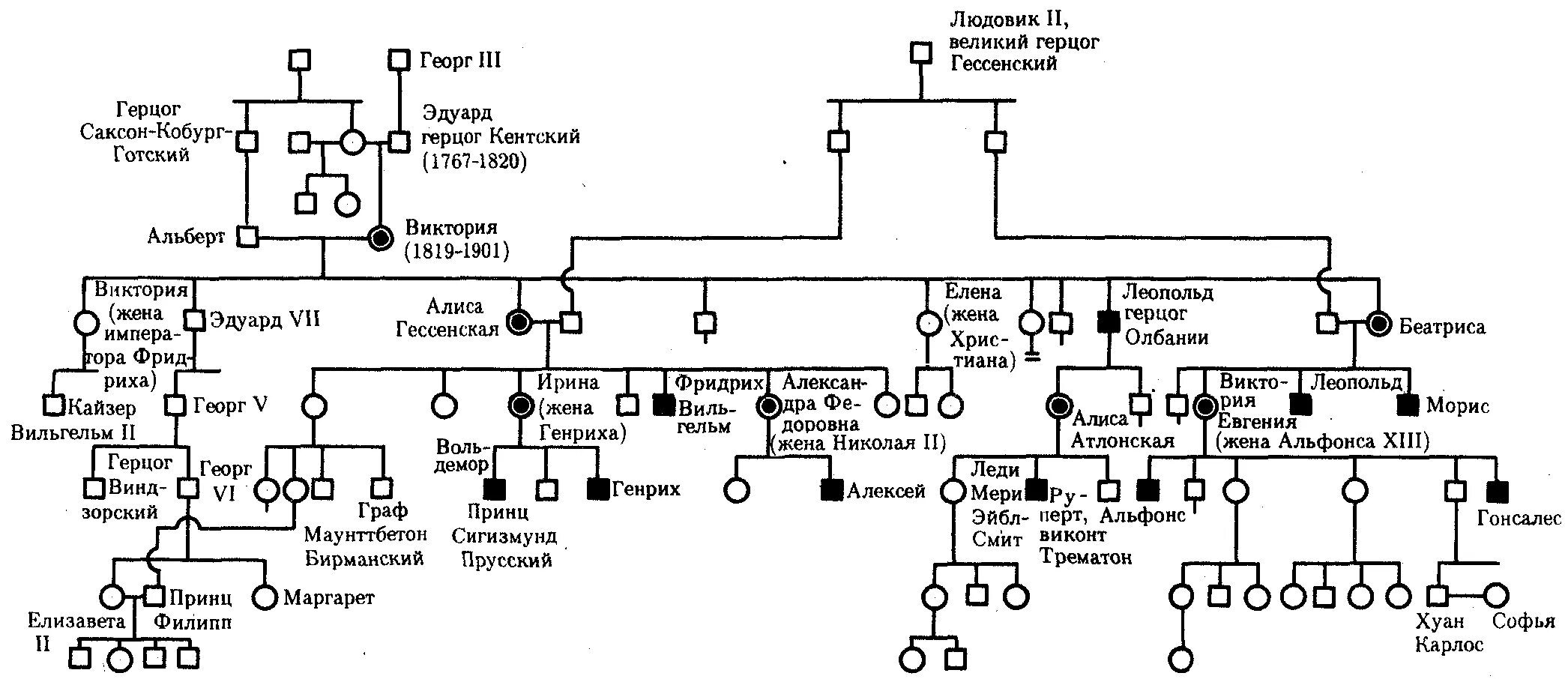 Генеалогическое Древо королевы Виктории гемофилия. Родословная Романовых гемофилия. Родословная королевы Виктории наследование гемофилии. Родословная генетика с гемофилией. Гемофилия романов