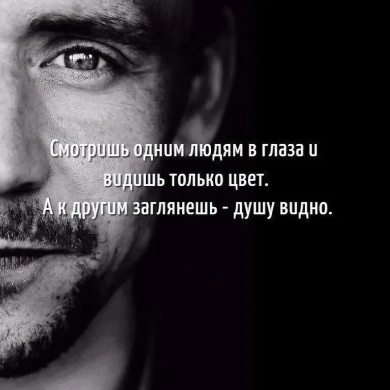 Какой взгляд отражается в твоих глазах тест. Взгляд цитаты высказывания. люди и фразы. цитаты про взгляд. цитаты про глаза и взгляд.