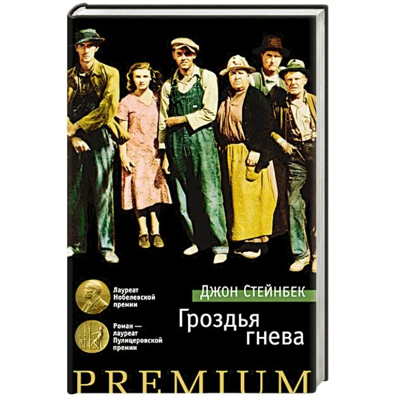 Стейнбек гроздья гнева краткое содержание. Стейнбек д. &quot;гроздья гнева&quot;. гроздья гнева джон стейнбек иностранка. гроздья гнева книга обложка. гроздья гнева азбука premium.