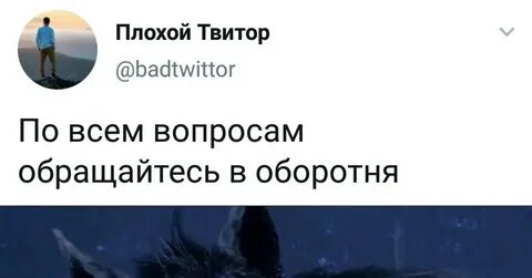 По всем вопросам обращайтесь в дракона