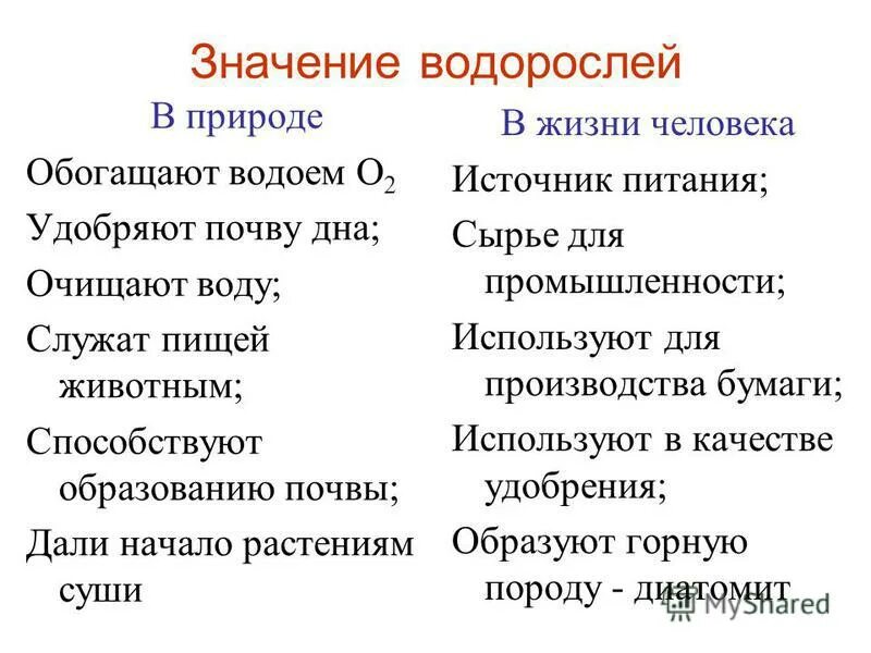 Для чего нужны водоросли. Значение водорослей в природе и жизни человека 5 класс биология. Таблица значение водорослей в природе и в жизни человека. Значение водорослей в природе и жизни человека 7 класс биология. Значение водорослей для человека 7 класс биология.