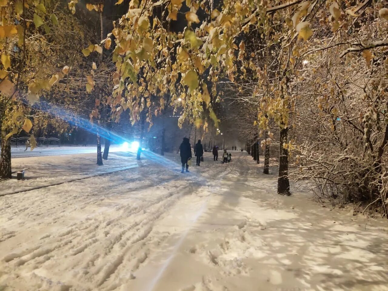 Погода калуга февраль. Калуга зима парк. Снегопад в Калуге. Зима в Калужской области. Калуга осень.