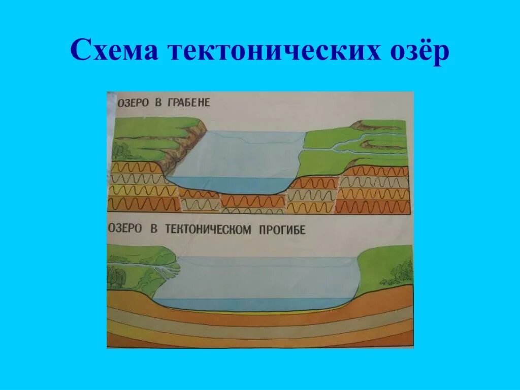 Как образуется котловины озер. Тектоническая котловина озера. Тектоническая Озерная котловина. Котловину ледниково-тектонического происхождения.. Тектоническое озеро схема.