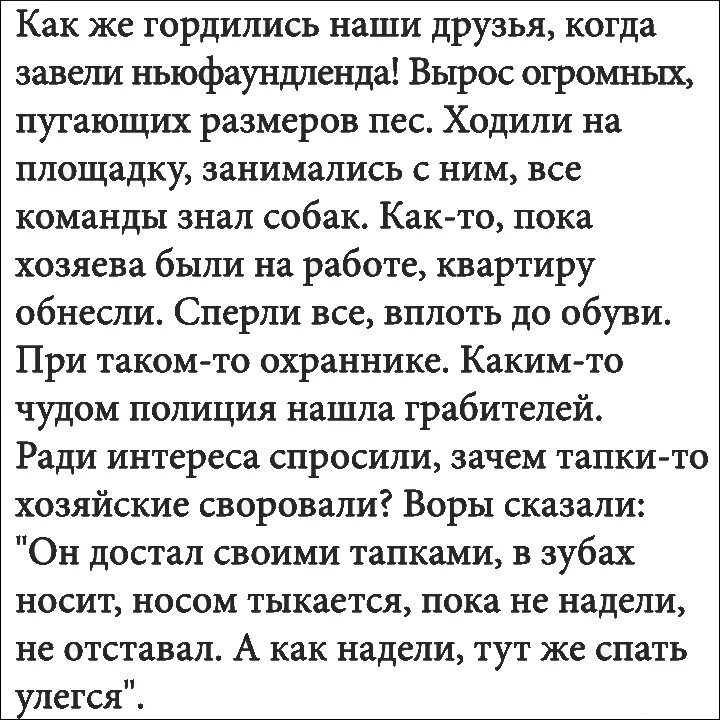 Прочитать рассказы про жизнь. Смешные рассказы из жизни. Смешные рассказы их жизни. Интересные рассказы из жизни. Смешные истории. З жизни.