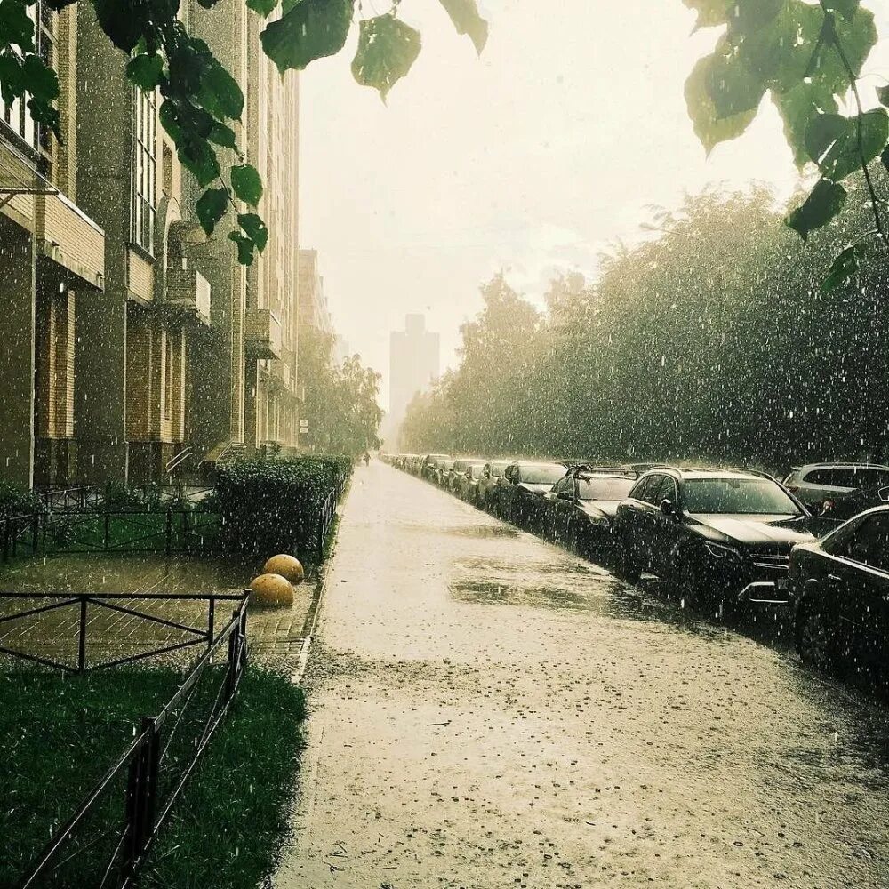 Дождь летом в городе. Лето в городе. дождливое лето в городе. лето дождь. улицы после дождя.