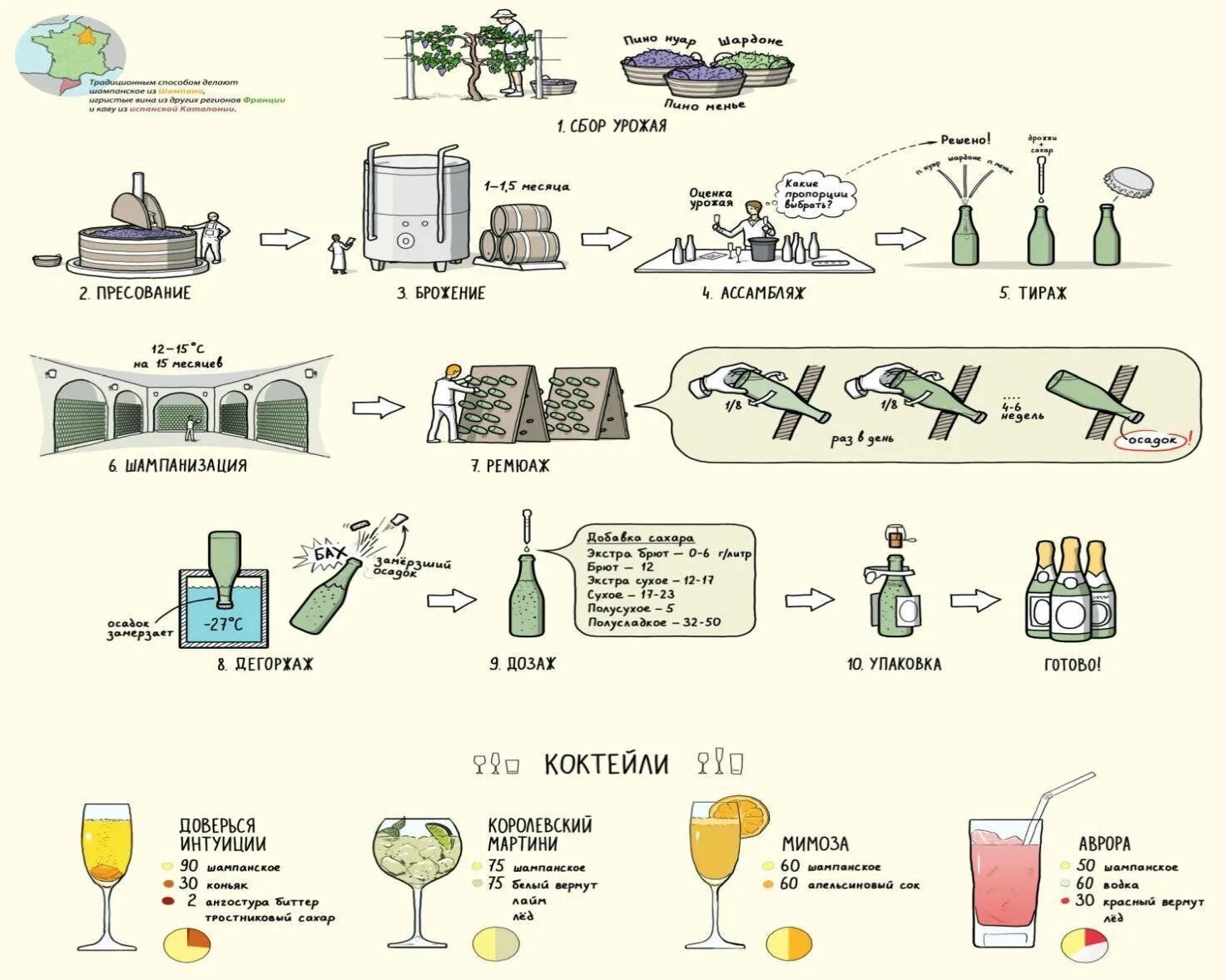 Схема производства виноградных вин. Производство вина технология схема. Технологическая схема производства вина из винограда. Технологическая схема производства красного сухого вина. Рецепт шампанского в домашних условиях