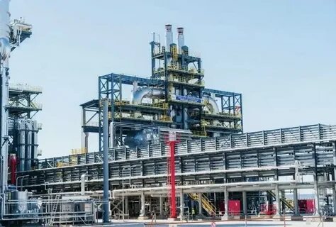 Pp plant