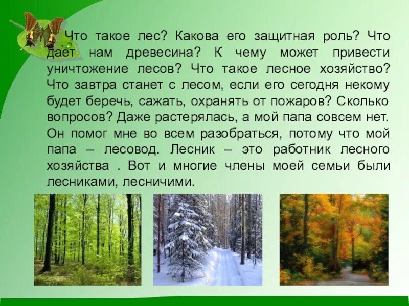 Маленький рассказ в лесу. Рассказ о лесе. Рассказ про леса. Рассказ на тему лес. Рассказ о лесе 3 класс.