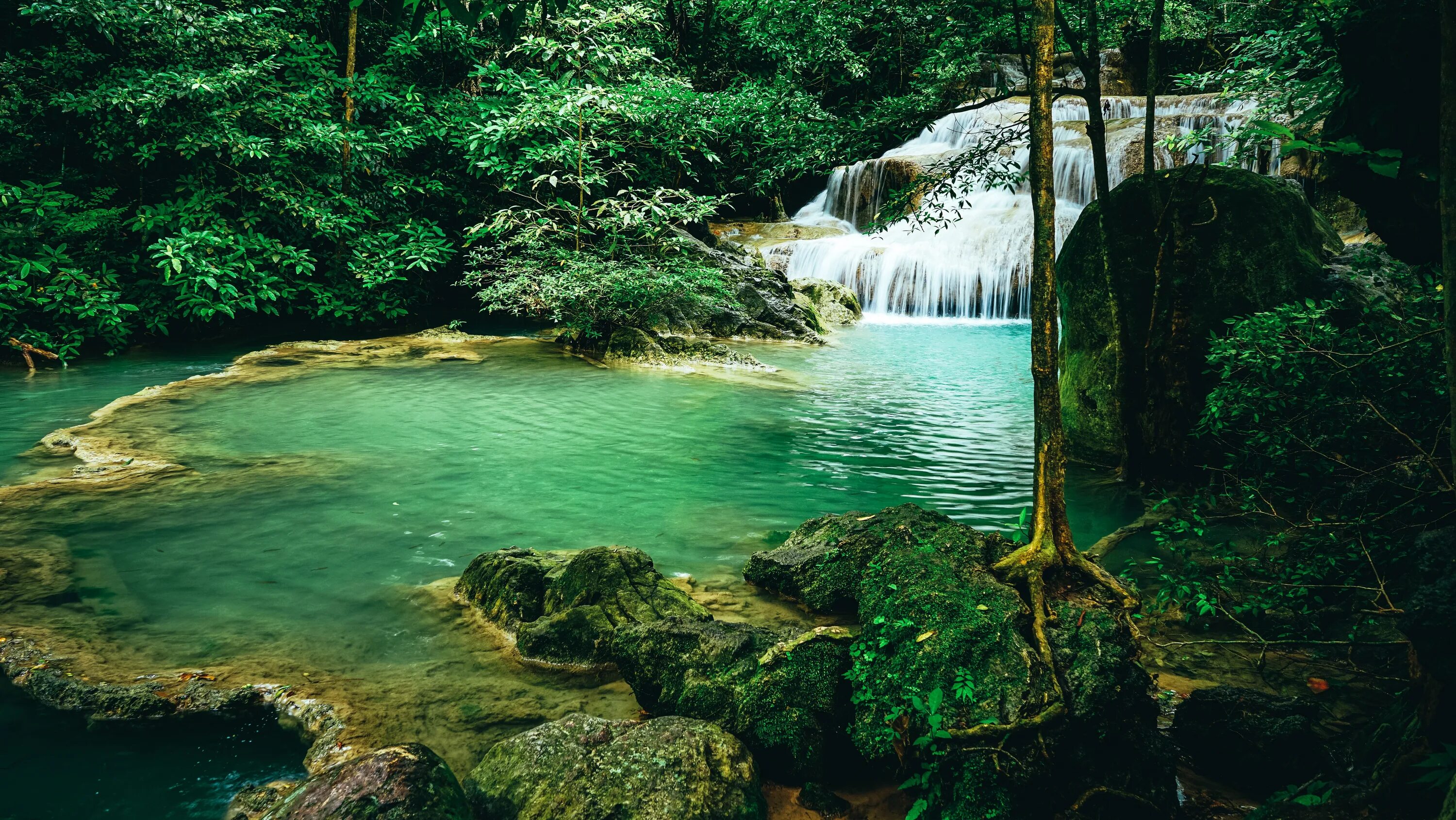 Тропики лес водопад. Тропики водопад Лагуна. Тропический пейзаж. Озеро в тропическом лесу.