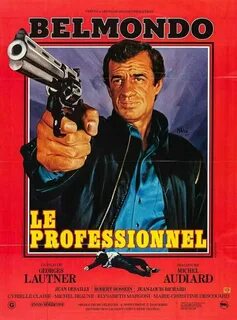 Le professionnel