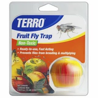 Flying fruit fly