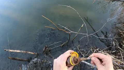 Как сделать приманку на бобра