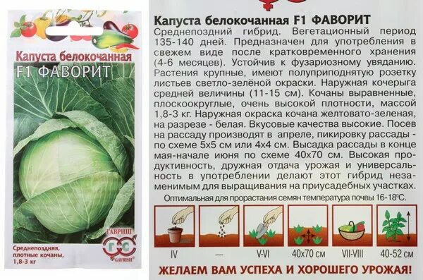 ). Капуста в пакетиках. Капуста в пакетиках. Капуста в пакетиках. Сорта капусты для сибири.