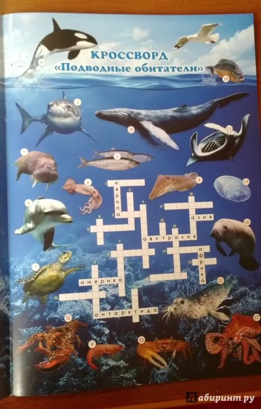 Слова в квадрате. Плакат морские обитатели для детей. Найди названия рыб. В квадрате с буквами спрятались 13 обитателей морей и рек. Морские рыбы плакат для детей.