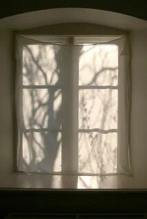 Window shadows