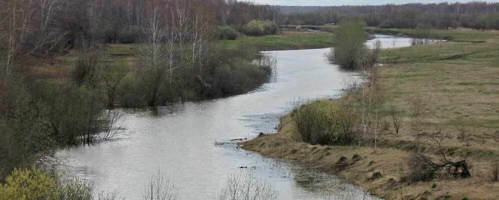 Погода знаменское омская область на 10 дней. Шухово Омская область Знаменский район. Шухово Знаменского района Омской области. Новоягодное Омская область Знаменский район. Омская область Знаменский район село Знаменское.