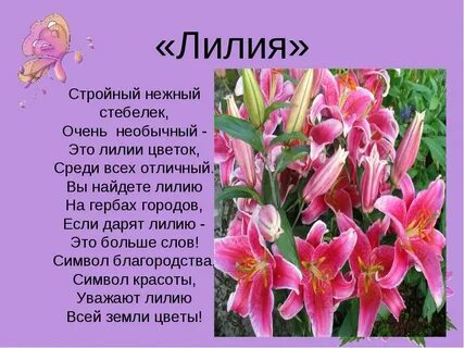 Стихотворение лила