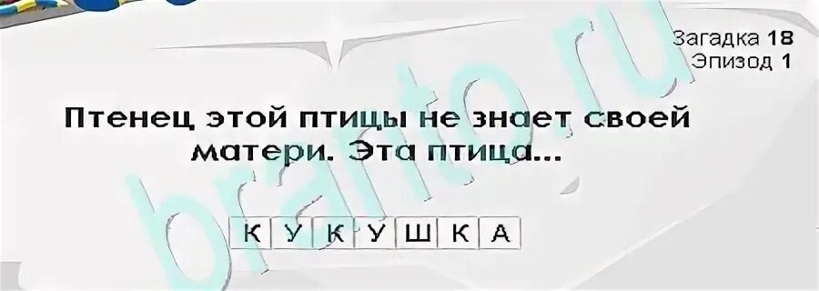Загадка сцена