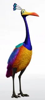 Bird up