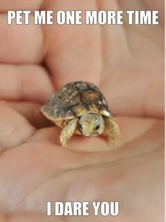 It s very small