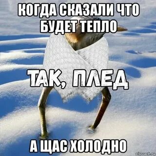 Когда будет терло