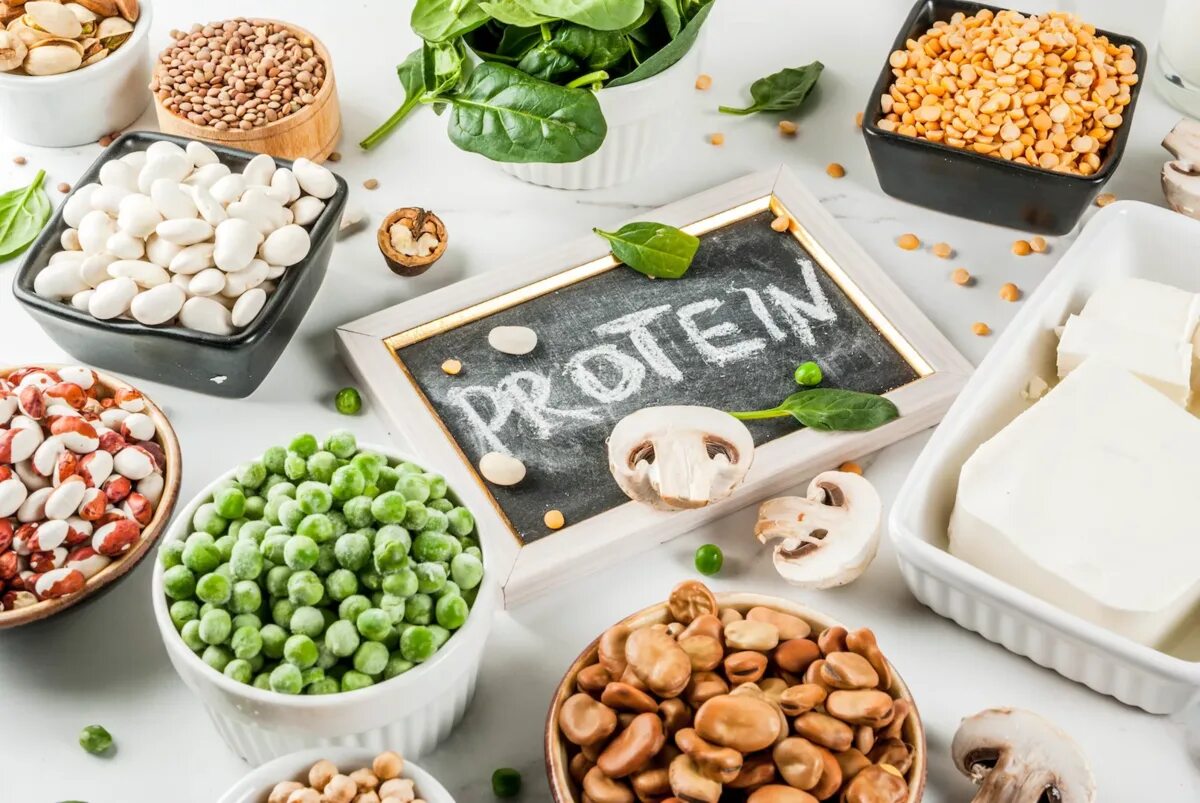 Альтернативные источники белка. Белковые продукты. Растительное питание. Растительный белок. Белковая пища.