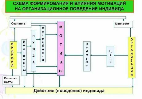 Модель поведения индивида
