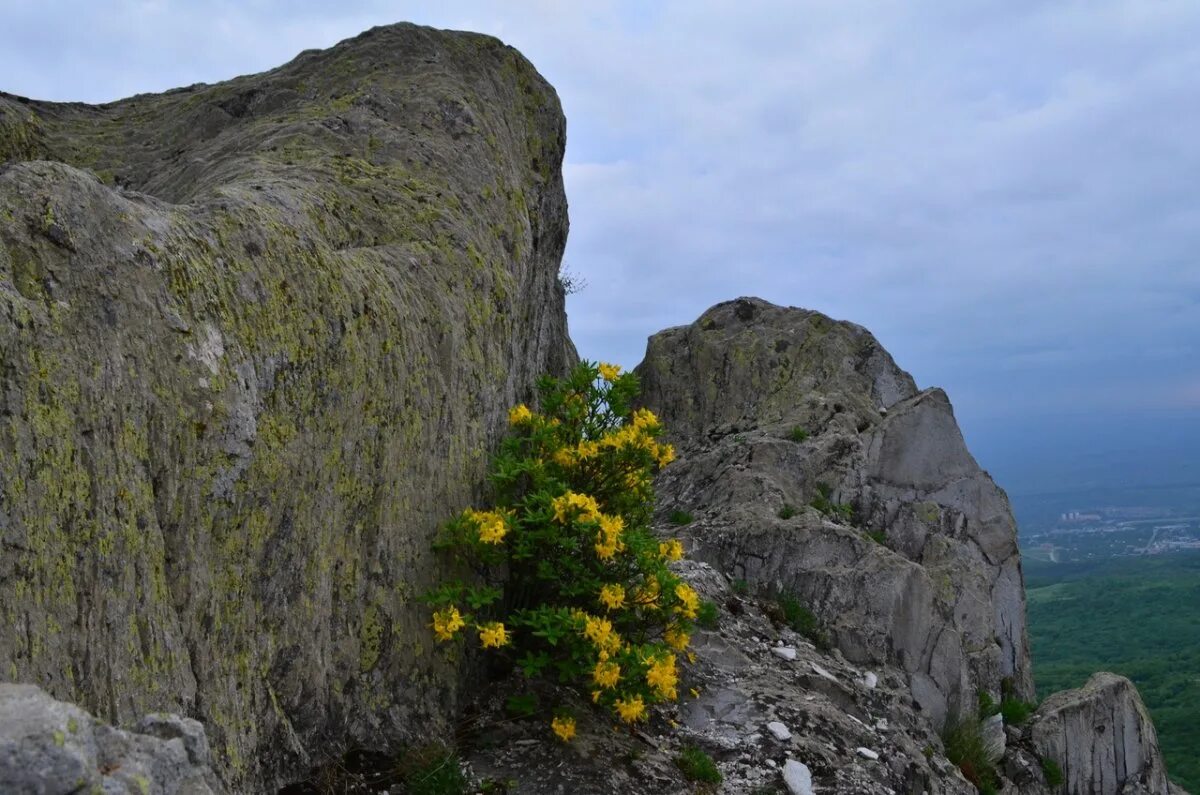 Орлиные скалы пятигорск бештау. Скалы пятигорск. Козьи скалы бештау. Скалы пятигорск. Орлиные скалы пятигорск бештау.