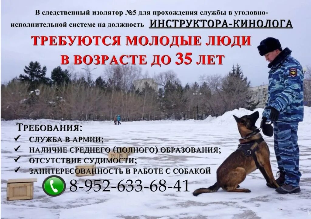 Кинолог в полиции зарплата. Кинолог зарплата. кинолог заработок. объявление кинолог.