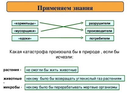 Что делают кормильцы