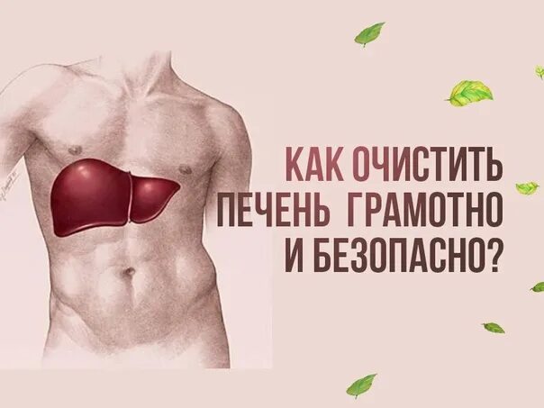 Как очищается печень. Чистим печень. Как очистить печень. Чистка печени схема.