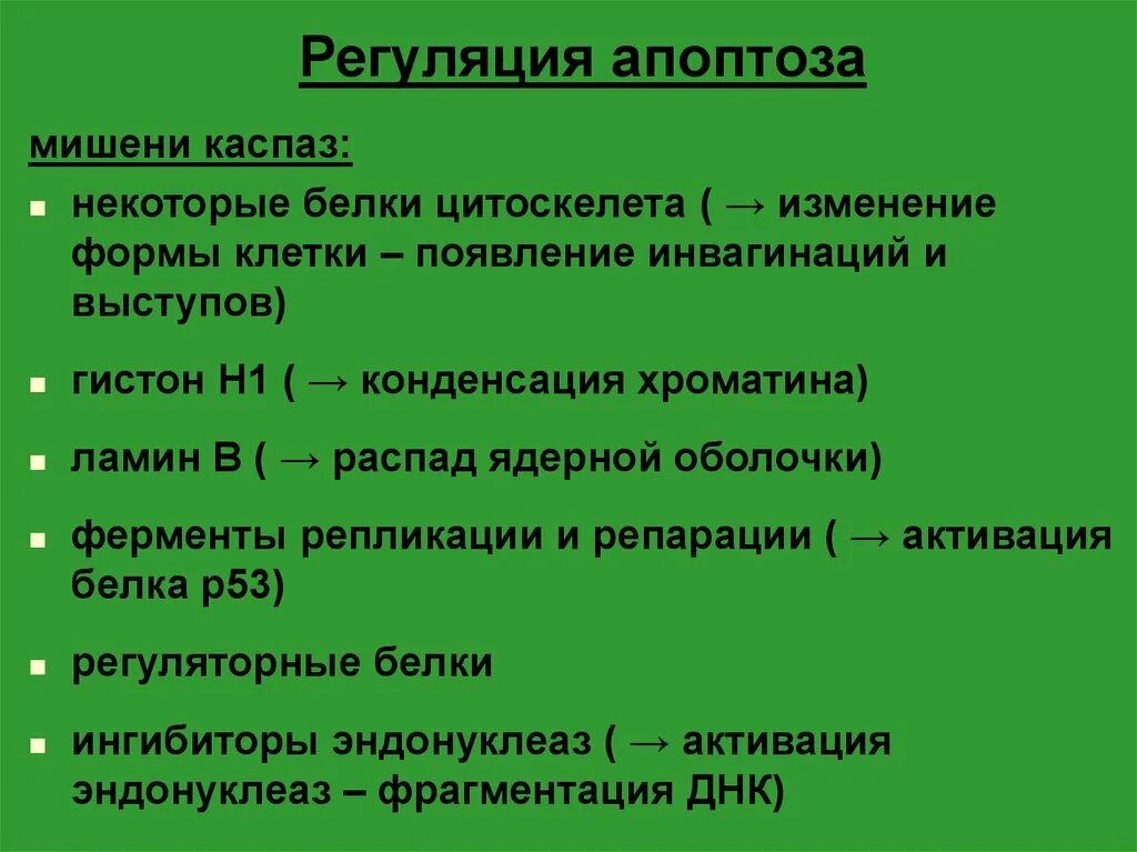 Регуляция апоптоза. Механизмы регуляции апоптоза. Механизмы индукции апоптоза. Апоптоз биохимия. Содержит ферменты осуществляющие апоптоз