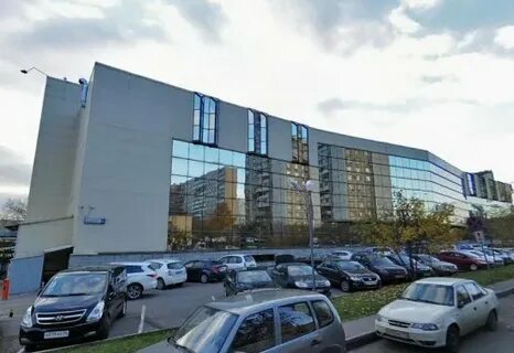 Красная сосна 2а
