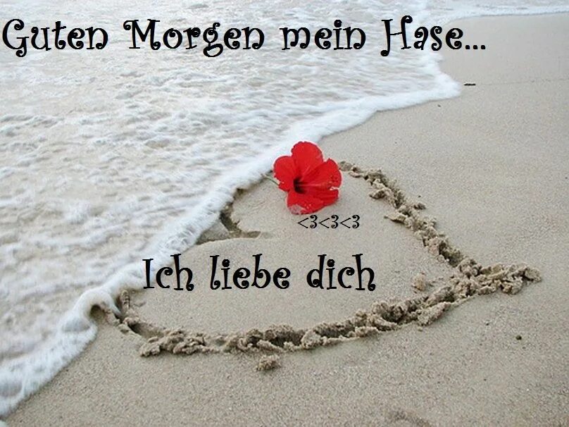 Guten Morgen ich Liebe dich картинки. Ich Liebe dich картинки. Guten Morgen meine Liebe картинки. Мени кечир жоним. Mein liebe dich