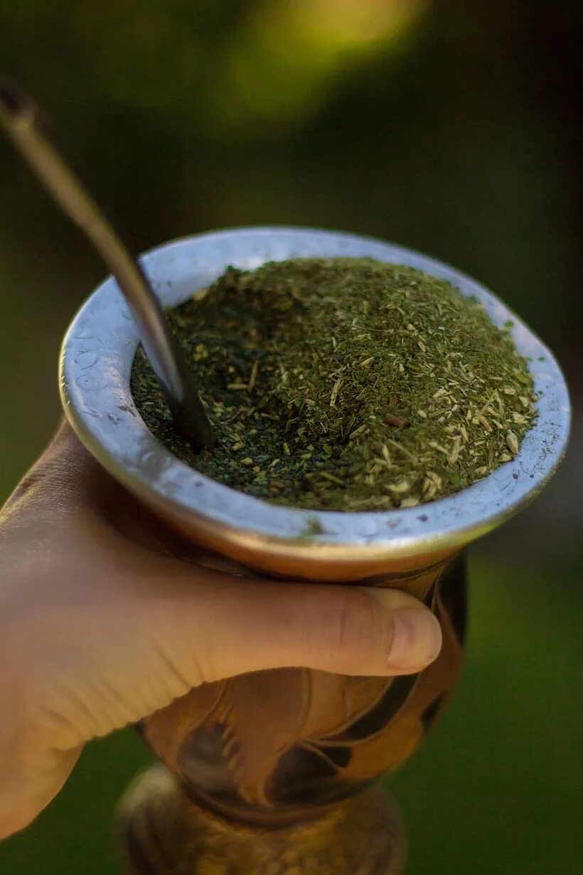 Мат чай купить. Йерба мате. Матэ чай. Yerba Mate чай. Матэ Парагвайский чай.