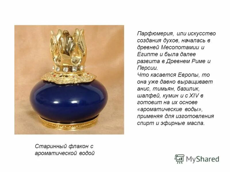 Служитель духов. Эльф жрец днд арт. Книги по этнологии. Служитель духов. Т а басилова книги.