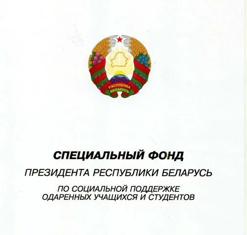 Поддержка талантливой молодежи рб. Фонд поддержки предпринимательства рб. Социальный фонда республики беларусь. Конкурс грантов главы рб. Социальный фонд беларуси.