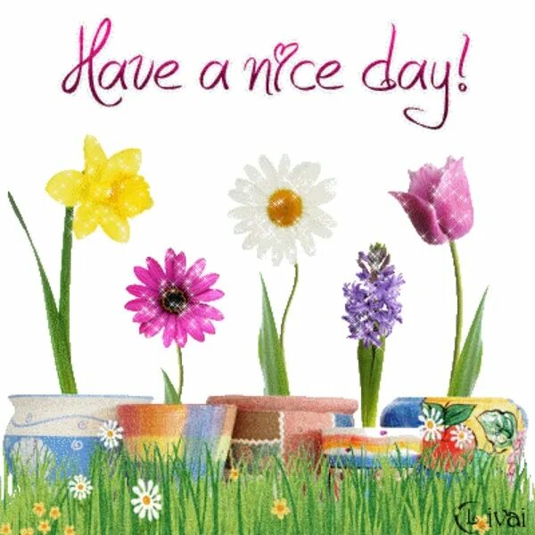 Have good journey. Открытка have a good Day. Have a nice Day цветы. Открытка have a nice Day. Have a nice Day картинки красивые.