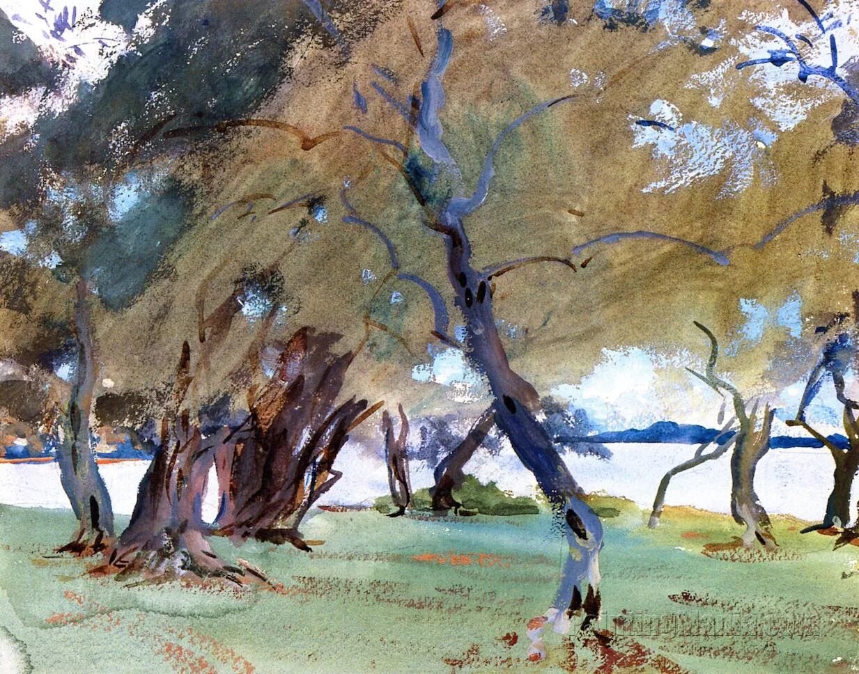 John tree. Сарджент художник оливковые деревья. джон сингер сарджент landscape, olive trees, corfu. сарджент акварель груш. джейм олива художник марвенл.