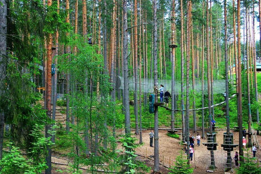 Норвей парк СПБ. Веревочный городок орех норвежский парк. Орех норвежский парк Орехово. Верёвочный парк Орехово в СПБ. Веревочные парки спб и ленинградской